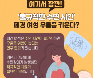 폐경 여성 우울증 원인 수면장애