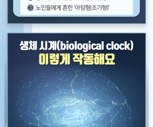 수면에도 유전적 MBTI가 있다